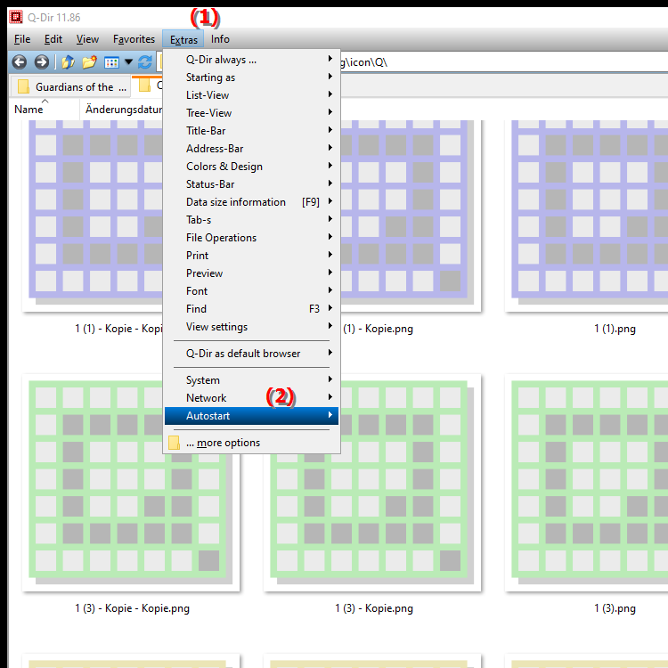What autostart options are available in Q Dir